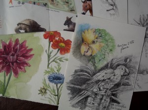 image stage dessin dans les jardins